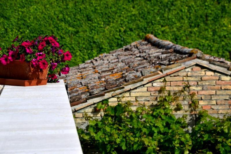 B&B Casale Fonte Vecchia Monteprandone Kültér fotó