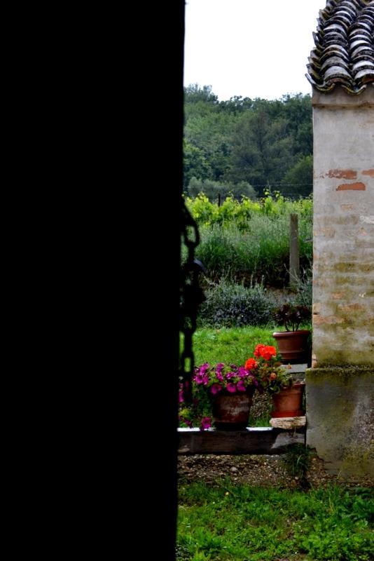 B&B Casale Fonte Vecchia Monteprandone Kültér fotó