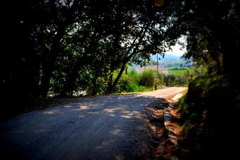 B&B Casale Fonte Vecchia Monteprandone Kültér fotó